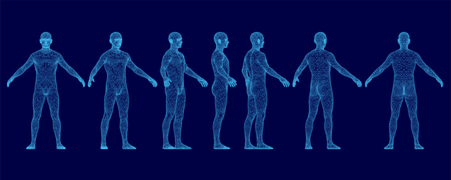 Realistic male character wireframe depicts human evolution through a series of poses on a blue background. The detailed anatomical drawing highlights the body's structural progression from standing.