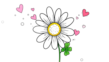 A large daisy with white petals, yellow center, pink hearts, and a clover