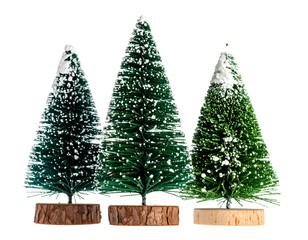Three festive miniature pine trees, dusted with snow