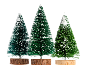 Three festive miniature pine trees, dusted with snow