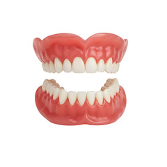 Obraz premium Dental Precision: An up-close view reveals a meticulously crafted set of dental dentures, showcasing a perfect arrangement of pearly white teeth set against a natural gum base.