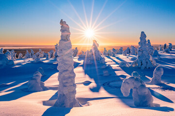 winter landscape with snow