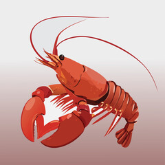 A gourmet prepared red lobster and fresh boiled crawfish with long antennae and sharp claws are isolated on a white background as a delicious cooked seafood meal