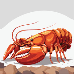 Fresh cooked red lobster seafood isolated on a white background as a gourmet boiled crustacean meal with sharp claws and long antennae
