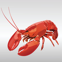 Gourmet cooked red lobster and boiled crayfish with claws and antennae isolated on a white background as a fresh prepared seafood meal