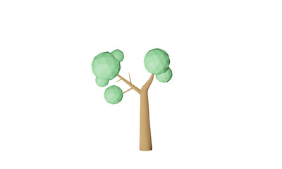 young green plant isolated