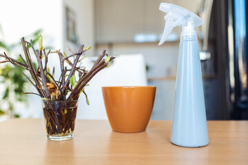 rooting cuttings of fruit trees