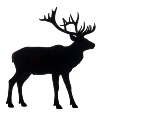 Silhouette of a majestic stag with large antlers against black