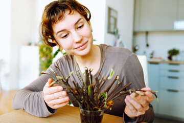 rooting cuttings of fruit trees
