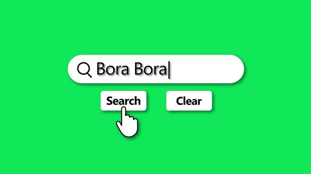 Search bar with the word Bora typed in and a cursor hovering over the Search button internet search online search