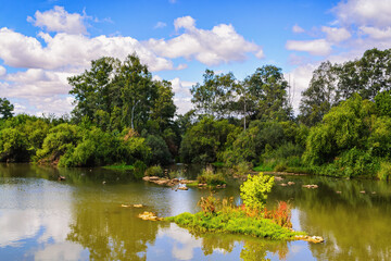 Minimal autumn lakeside landscape with stones and calm water. Suitable for background use.
