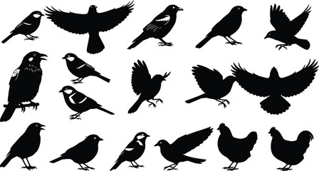Silhouette collection of different bird species in flying and standing poses, wildlife animal shapes vector illustration set for design