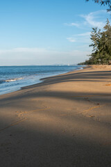 Obraz premium Long Shadows on a Peaceful Sandy Beach with Ocean View and Pine Trees