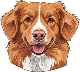 Nova Scotia Duck Tolling Retriever dog smiling face headshot portrait