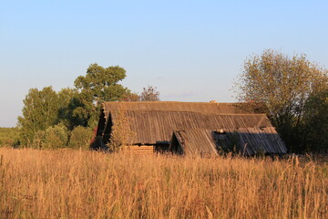 old houses on the edge of a forest in an abandoned village on a sunny day in late summer