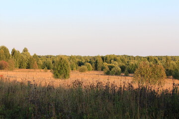 autumn landscape with grass