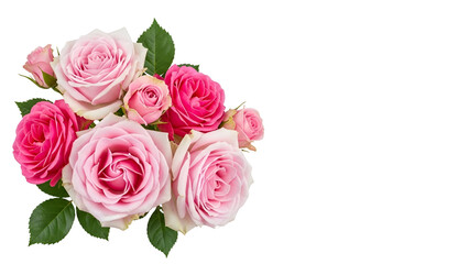 Beautiful pink roses bouquet on white background