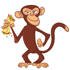 Cartoon funny monkey chimpanzee holding falafel or kebab in his hands. Vector illustration of happy monkey character design isolated.