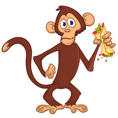 Cartoon funny monkey chimpanzee holding falafel or kebab in his hands. Vector illustration of happy monkey character design isolated.