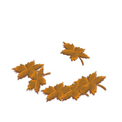 Fototapeta premium maple leaves