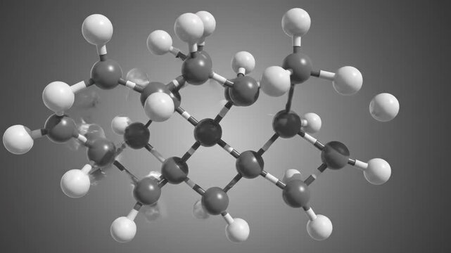 Detailed Molecular Structure Visualization with Black and White Color Scheme in 3D Rendering