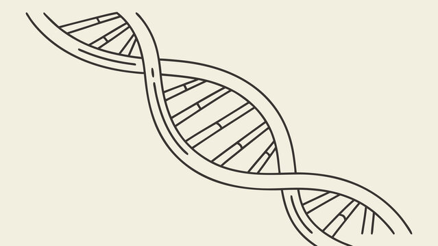Clean line art illustration of a DNA double helix structure on a neutral background