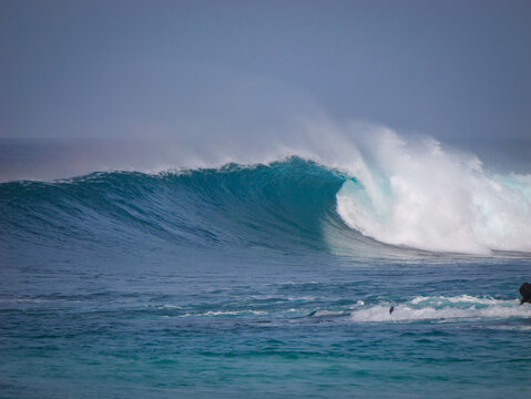 Clean wave breaks perfectly near a reef with beautiful arc of mist rising in the air. Smooth face of the wave curves into a perfect tube in ideal surf conditions. Ocean power and beauty of nature.