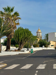 Quiet village street in Lanzarote lined with cacti and palm trees leads to historic church tower. Whitewashed buildings and blue sky complete peaceful village scene, rich in local charm and character. © helivideo