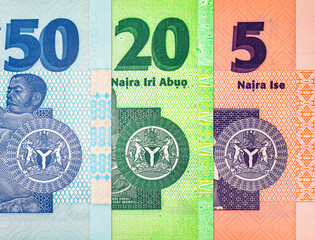 Naira Nigeria banknotes of various denominations. Money of Africa. New polymer money of Nigeria