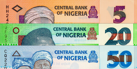 Naira Nigeria banknotes of various denominations. Money of Africa. New polymer money of Nigeria