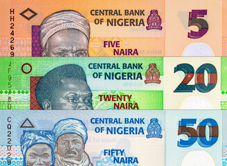 Naira Nigeria banknotes of various denominations. Money of Africa. New polymer money of Nigeria