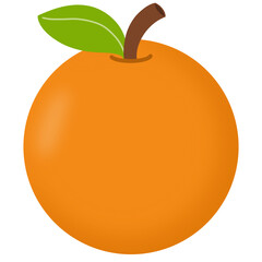 Illustration of an orange fruit 