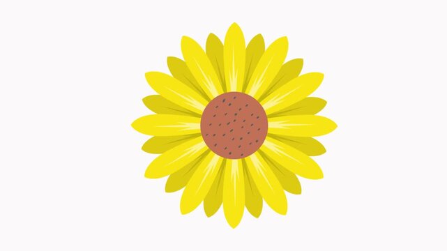 flower  icon animation simple flat