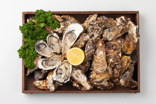 굴과의 연체동물을 통틀어 이르는 말. 갓굴, 가시굴, 토굴 따위가 있다.
A general term for mollusks of the oyster family. Examples include the oyster, the thorny oyster, and the oyster.


