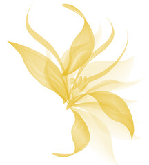 Flower botanical light aesthetic with soft focus and simple nature style