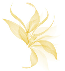 Flower botanical light background with soft petals and gentle natural focus