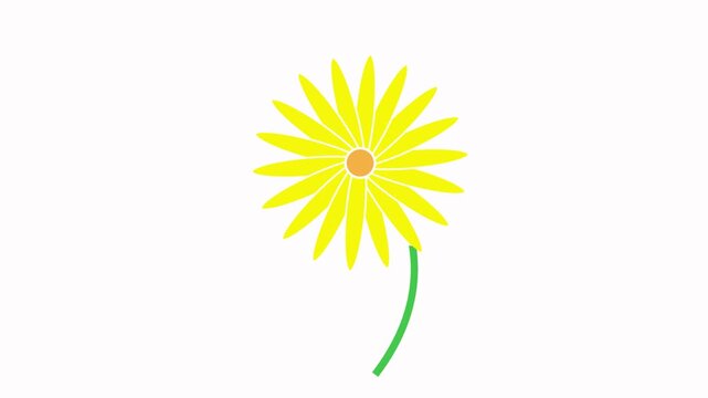 flower  icon animation simple flat