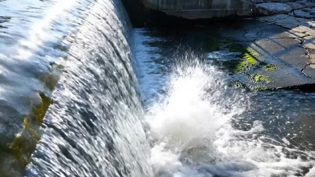 Water cascading over a small dam into a foamy pool in bright sunlight, a tranquil nature scene