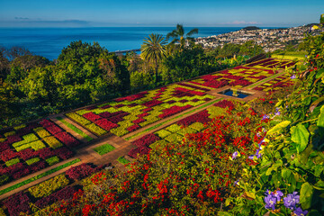 Amazing Botanical Garden of Funchal with various plants and flowers