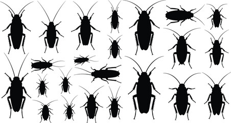 Cockroach silhouette set, insect icons, pest control vector, entomology illustration, black and white bugs, top view, creepy crawlies © Faruk Here