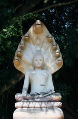 Temple Area of Wat Pa Dara Phirom &ndash; Thailand