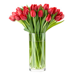 red tulips in a vase
