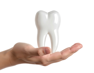 Human Hand Holding Wisdom Tooth with Roots, Dental Anatomy Illustration