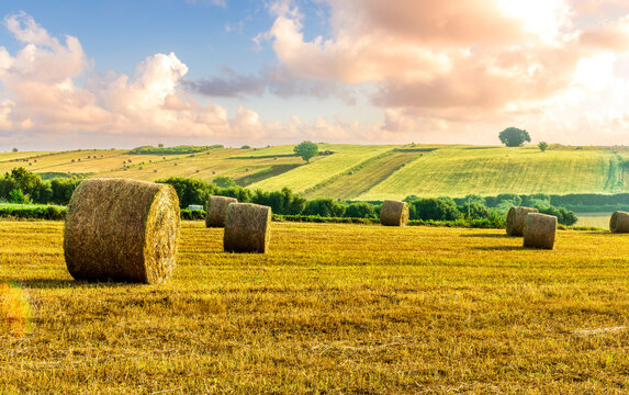 summer yellow agricultural field with golden hay stacks and beautiful farm rows of grass and scenic colorful cloudy sunset sky above rural farmland
