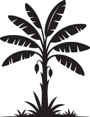 A striking silhouette of a banana tree against a dark background