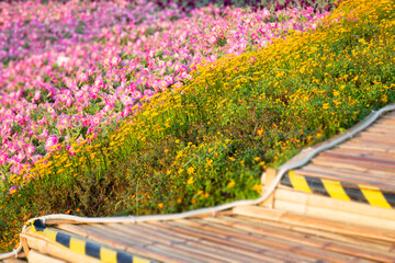 Green area relax outdoors garden with plants