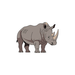 Fototapeta premium two-horned rhino vector illustration on white background