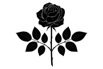Stylized White Rose Outline on Black Background drawing