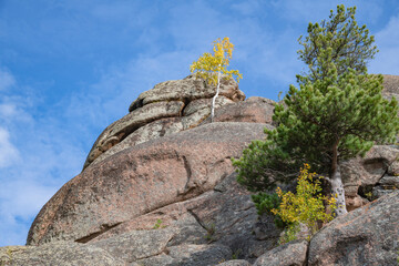 View of the top of the Ermak rock on a sunny September day. Krasnoyarsk Pillars National Natural Park