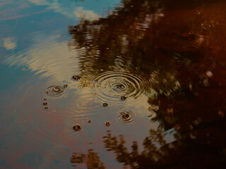 water bubbles in the water